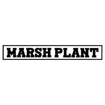 Marsh Plant